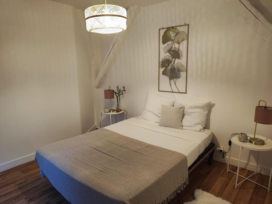 Magnifique Appartement Beaux Arts Tours Exterior foto